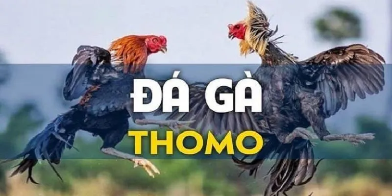 da ga thomo cpc3 avt