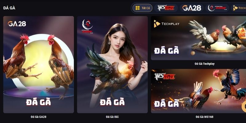 Toàn bộ khung cảnh về đá gà Zo789